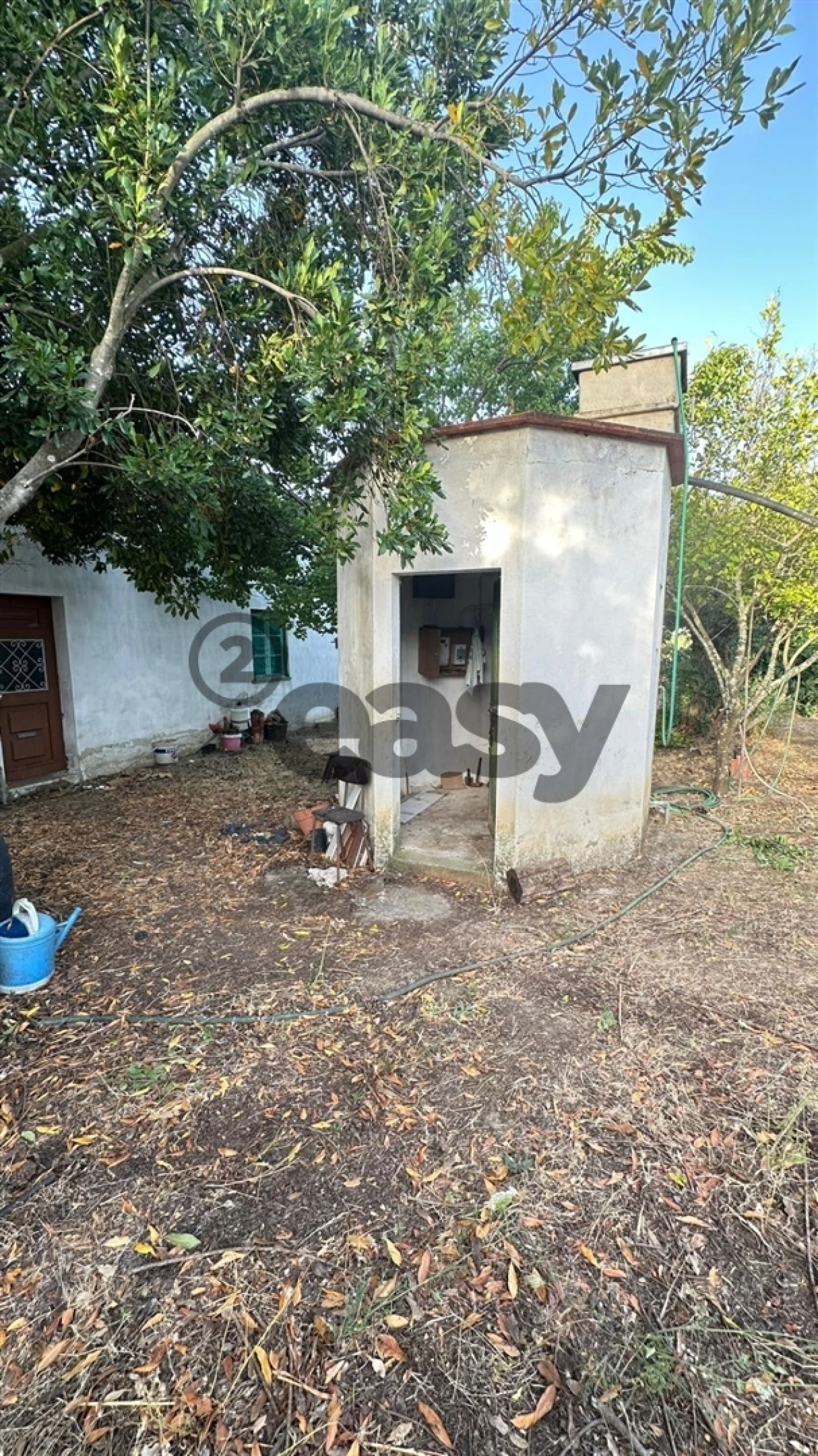 Terreno Agricola ou Rústico para Venda em Vidigueira Foto 2
