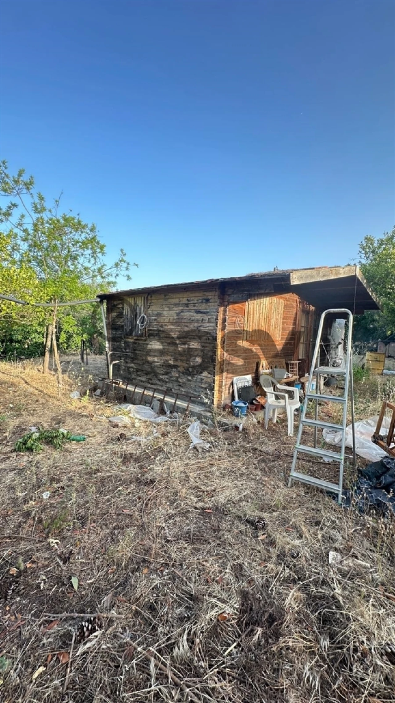 Terreno Agricola ou Rústico para Venda em Vidigueira Foto 10