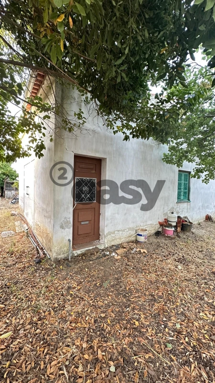 Terreno Agricola ou Rústico para Venda em Vidigueira Foto 5