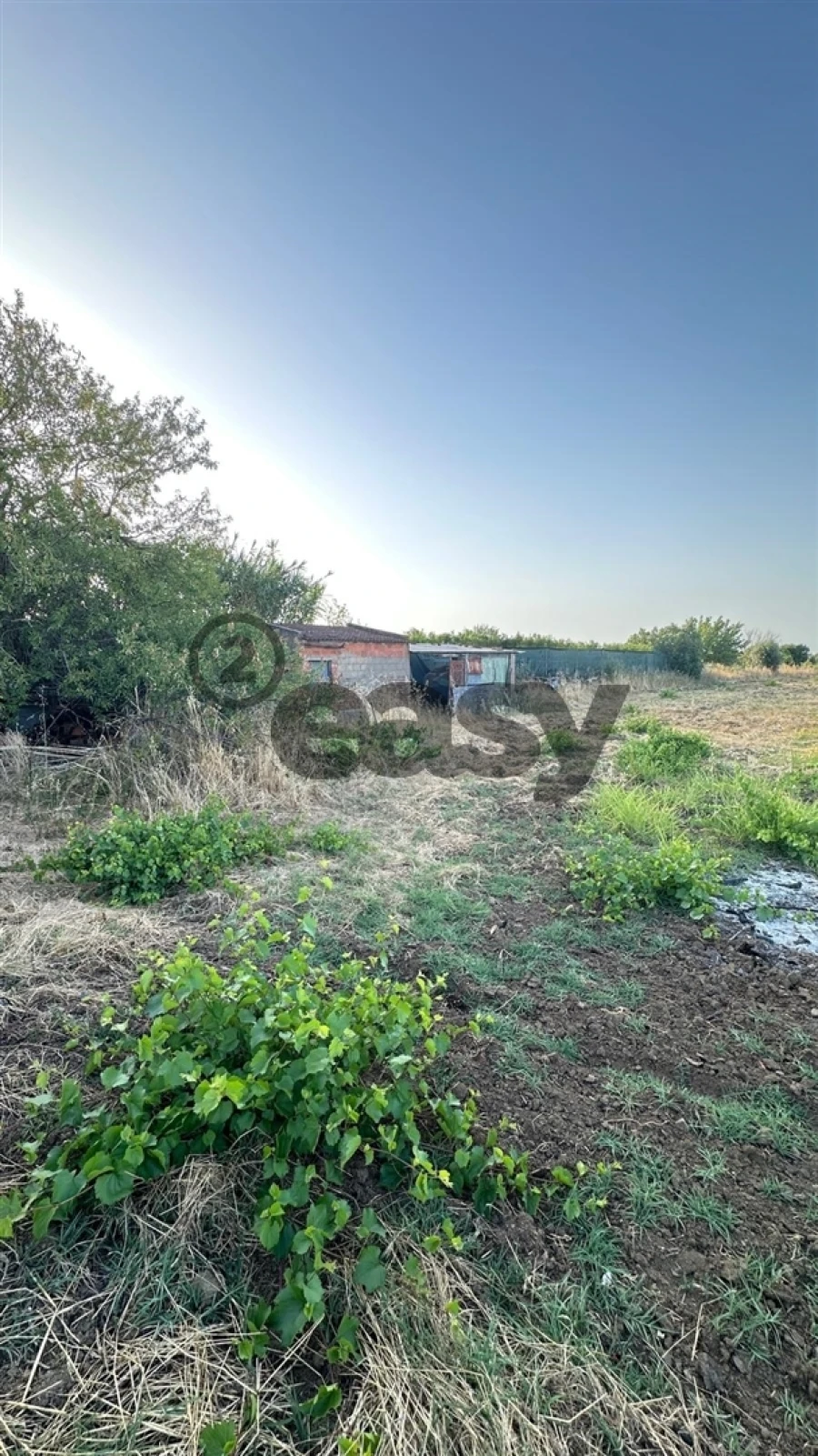 Terreno Agricola ou Rústico para Venda em Vidigueira Foto 6
