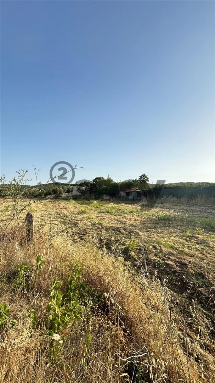 Terreno Agricola ou Rústico para Venda em Vidigueira Foto 7
