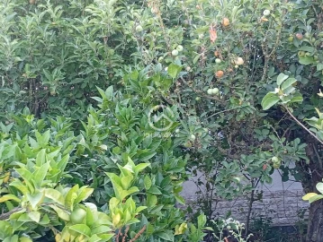 Quinta T5 para Venda em Palmela