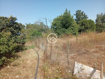 Quinta T5 para Venda em Palmela