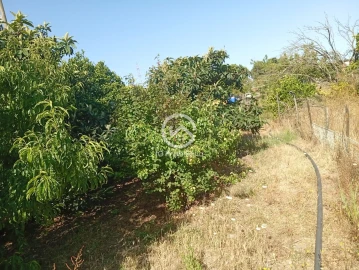 Quinta T5 para Venda em Palmela
