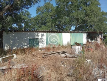 Quinta T5 para Venda em Palmela