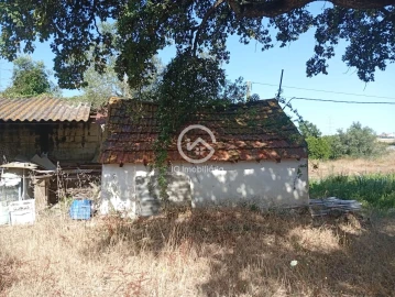 Quinta T5 para Venda em Palmela