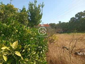 Quinta T5 para Venda em Palmela
