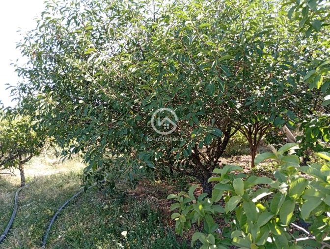 Quinta T5 para Venda em Palmela Foto 29