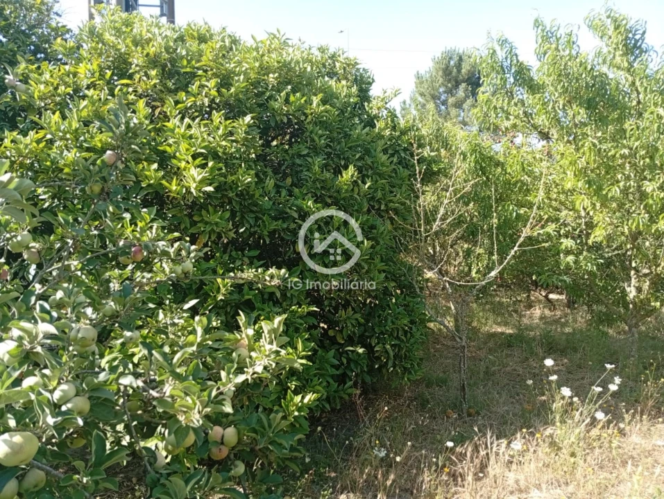 Quinta T5 para Venda em Palmela Foto 20
