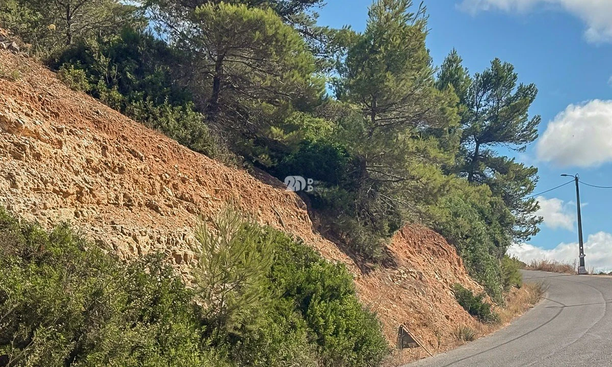 Terreno para Venda em Budens Foto 13