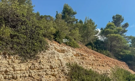 Terreno para Venda em Budens