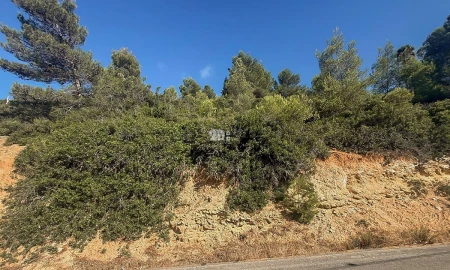 Terreno para Venda em Budens