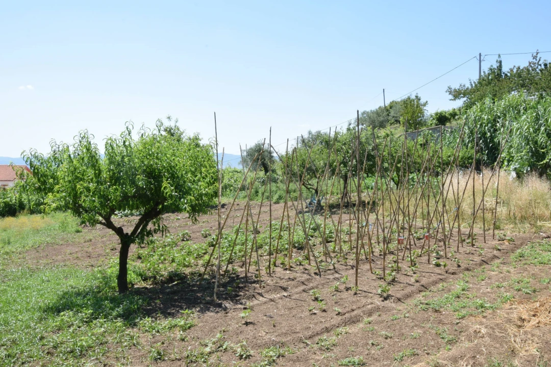 Terreno para Venda em Cantar-Galo e Vila do Carvalho Foto 31