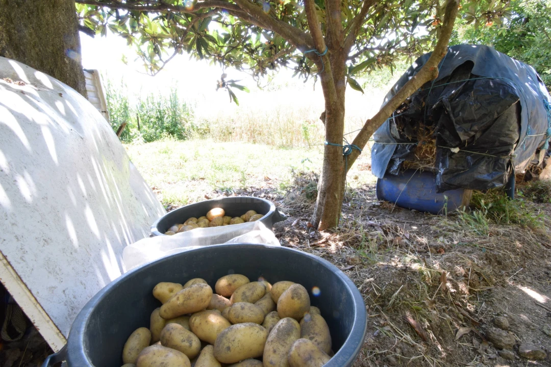 Terreno para Venda em Cantar-Galo e Vila do Carvalho Foto 22