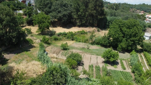 Terreno para Venda em Cantar-Galo e Vila do Carvalho