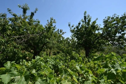Terreno para Venda em Cantar-Galo e Vila do Carvalho