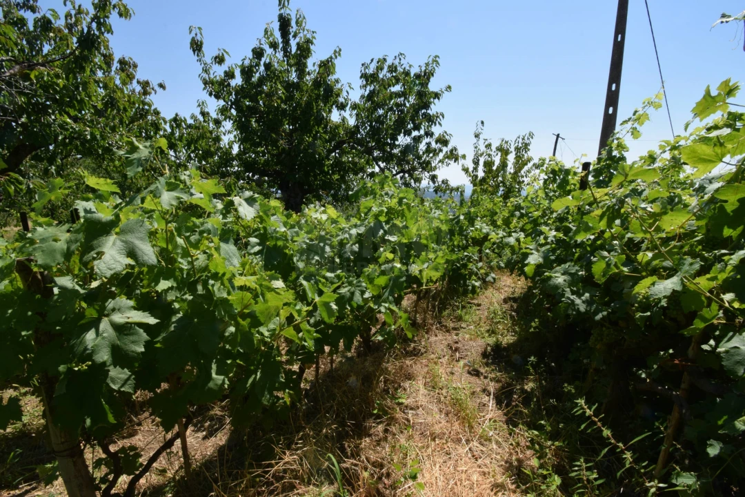 Terreno para Venda em Cantar-Galo e Vila do Carvalho Foto 18