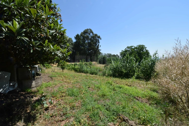 Terreno para Venda em Cantar-Galo e Vila do Carvalho Foto 20