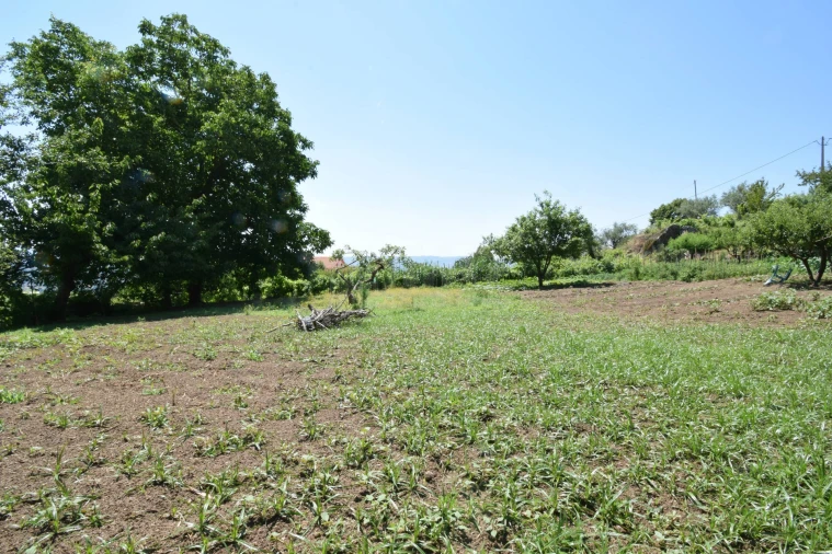 Terreno para Venda em Cantar-Galo e Vila do Carvalho Foto 36