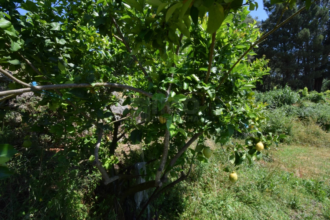 Terreno para Venda em Cantar-Galo e Vila do Carvalho Foto 30