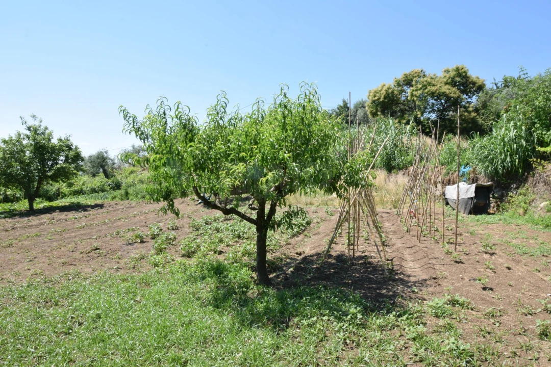 Terreno para Venda em Cantar-Galo e Vila do Carvalho Foto 35