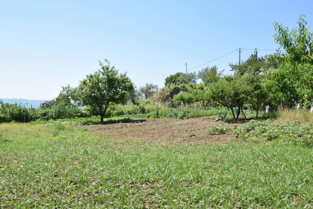 Terreno para Venda em Cantar-Galo e Vila do Carvalho Foto 37