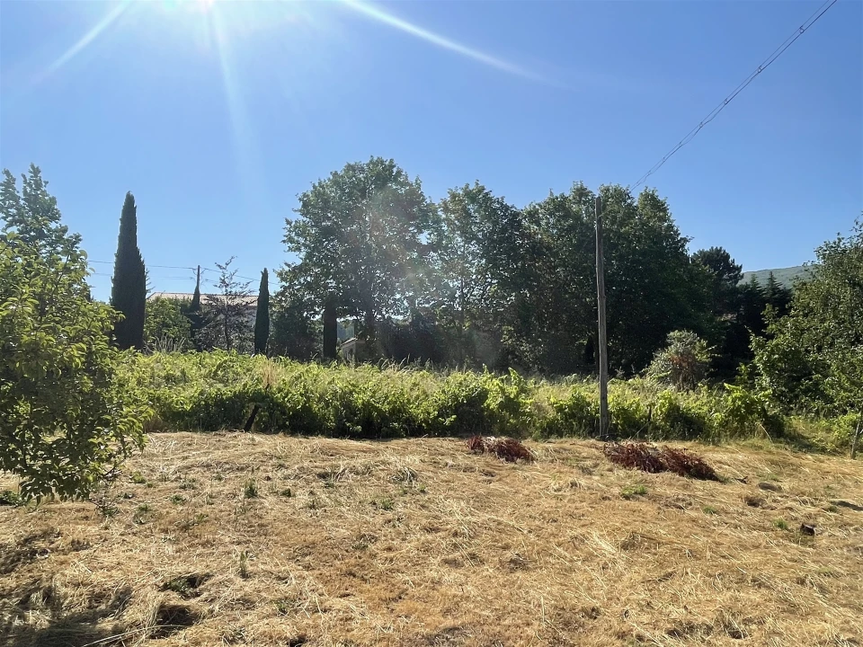 Quinta T2 para Venda em São Paio Foto 20