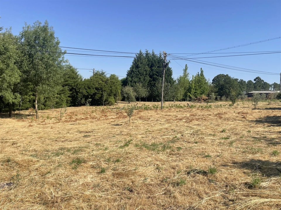 Quinta T2 para Venda em São Paio Foto 21
