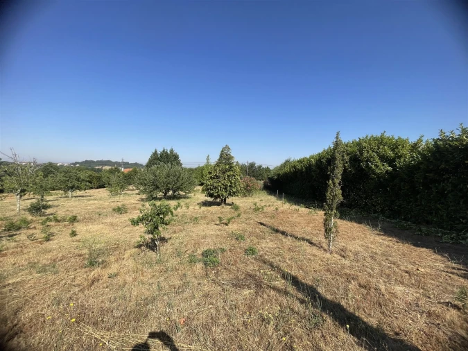 Quinta T2 para Venda em São Paio Foto 17