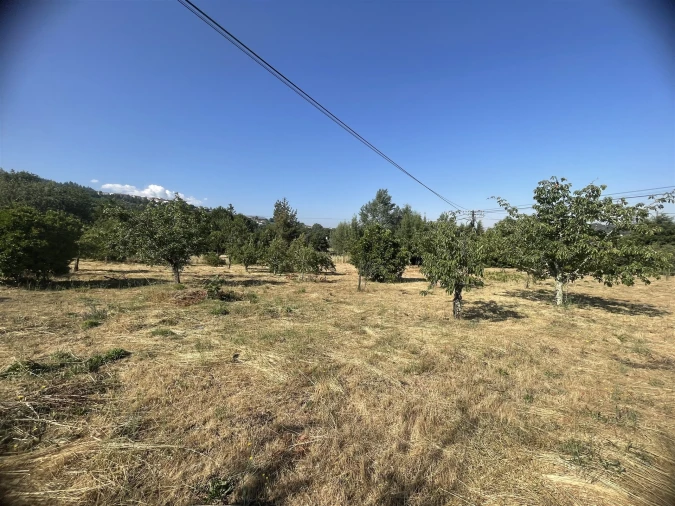Quinta T2 para Venda em São Paio Foto 18