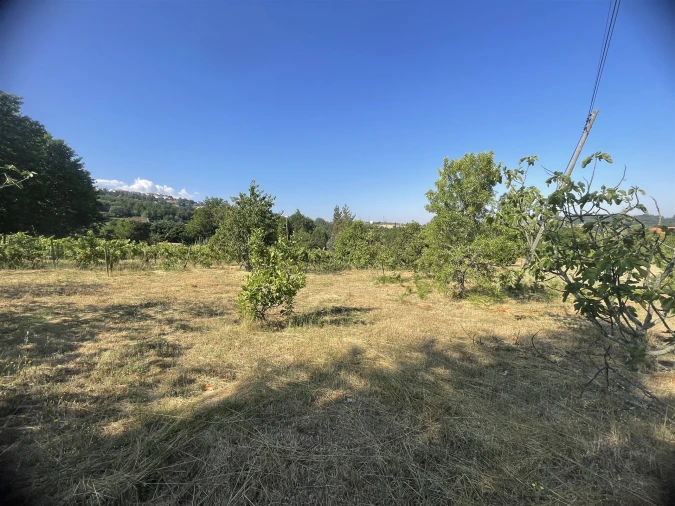 Quinta T2 para Venda em São Paio Foto 16