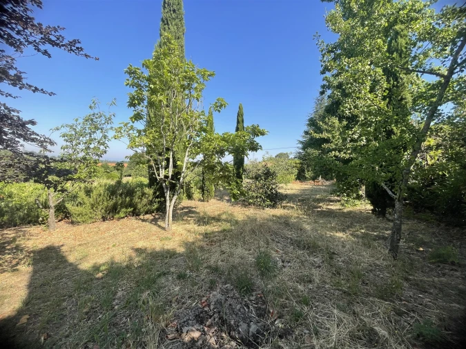 Quinta T2 para Venda em São Paio Foto 5