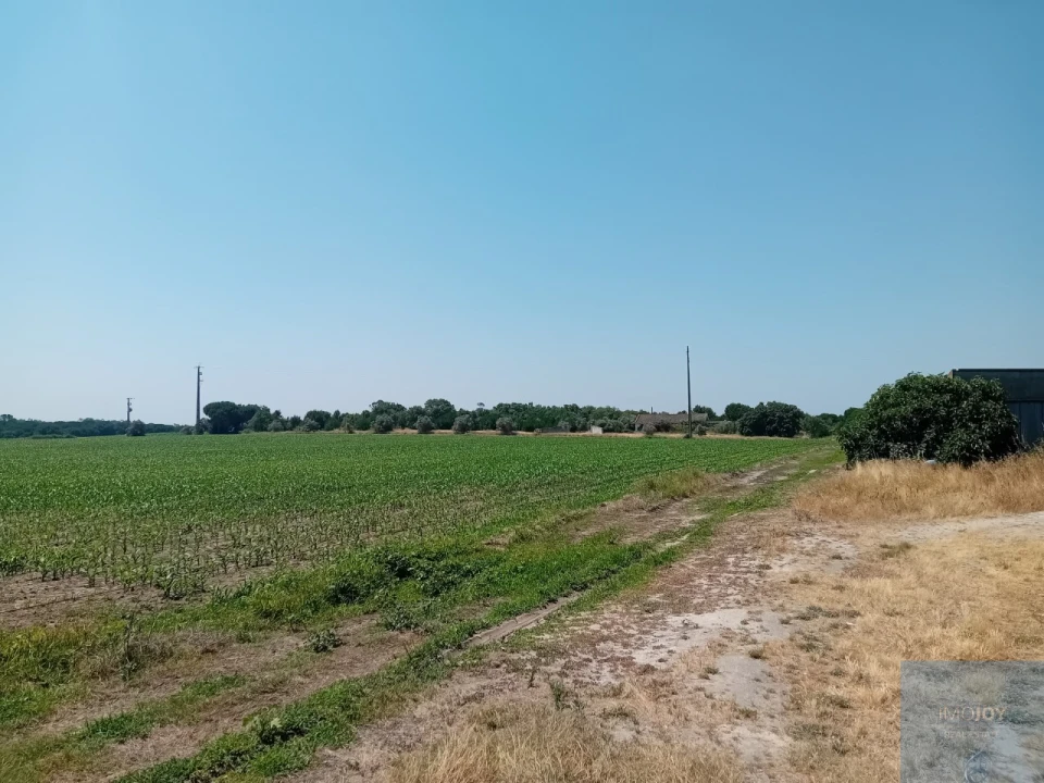 Terreno para Venda em Pegões Foto 4
