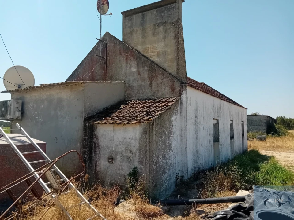 Terreno para Venda em Pegões Foto 6