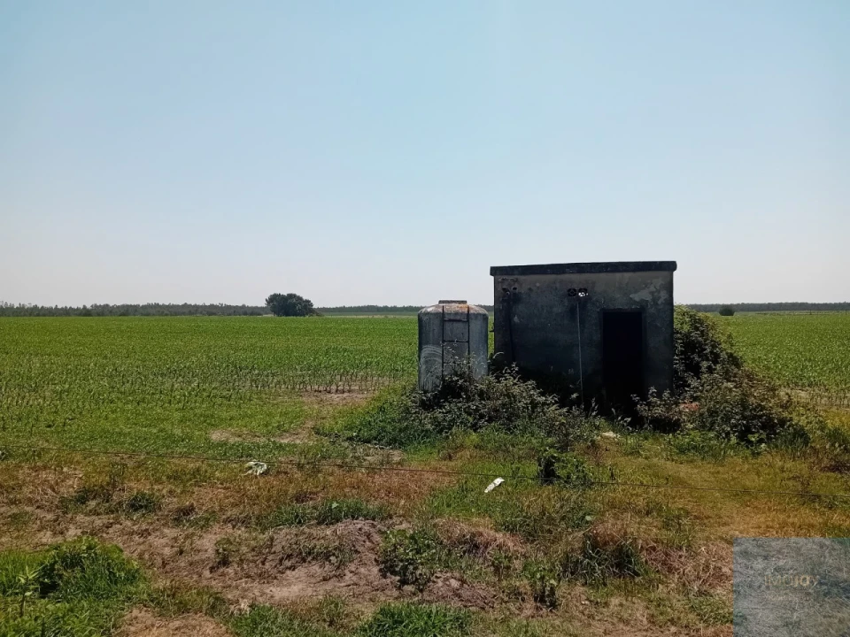 Terreno para Venda em Pegões Foto 10