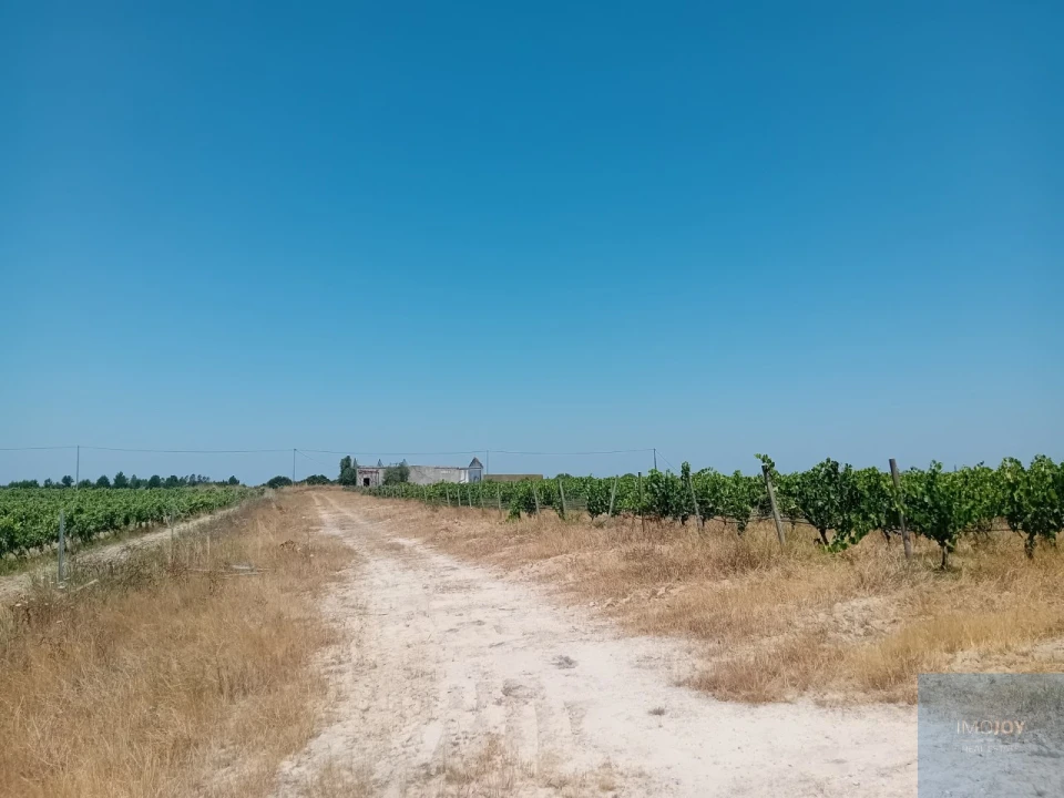 Terreno para Venda em Pegões Foto 17