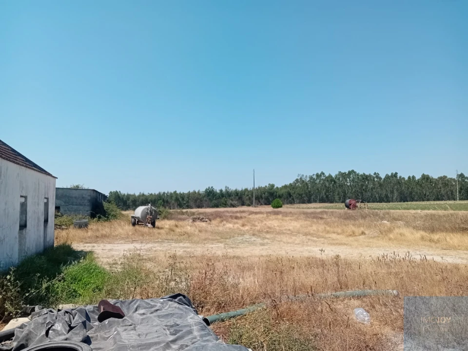 Terreno para Venda em Pegões Foto 20