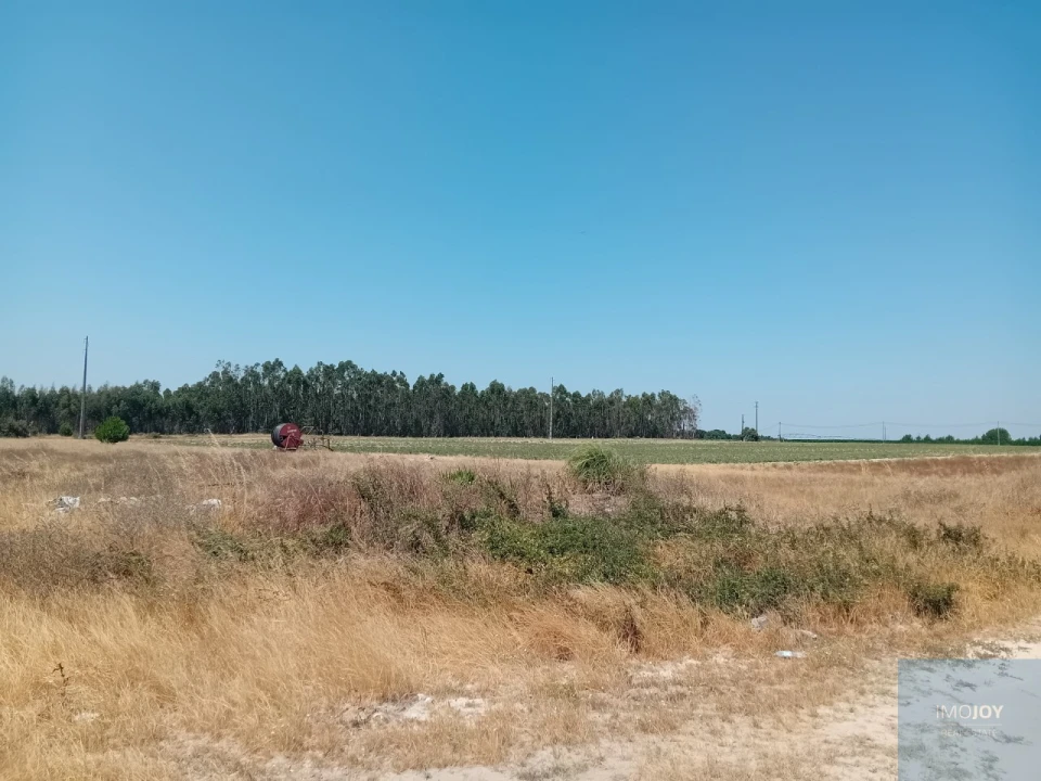 Terreno para Venda em Pegões Foto 21