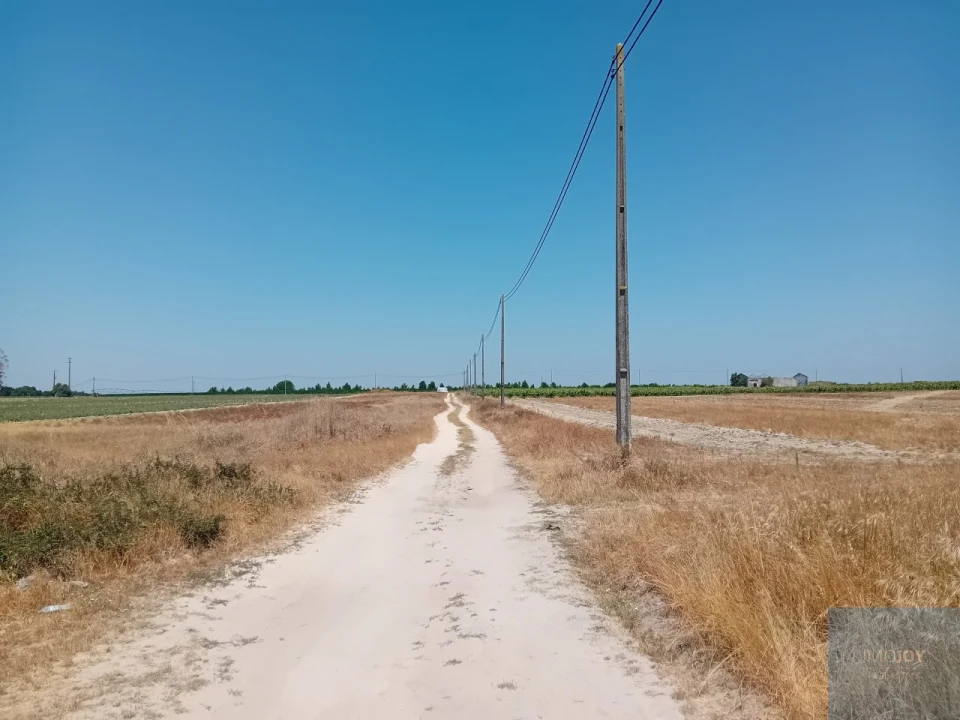 Terreno para Venda em Pegões Foto 22