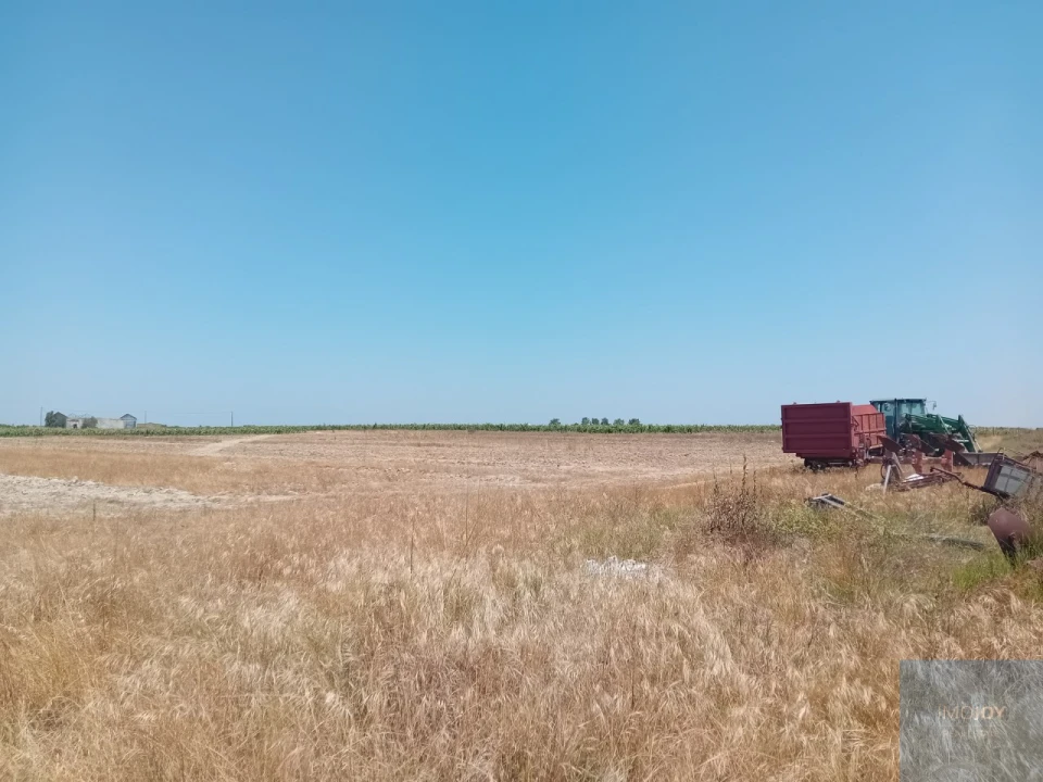 Terreno para Venda em Pegões Foto 23