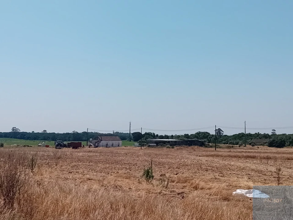 Terreno para Venda em Pegões Foto 24