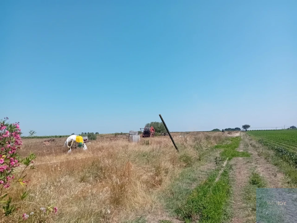 Terreno para Venda em Pegões Foto 25