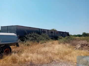 Terreno para Venda em Pegões