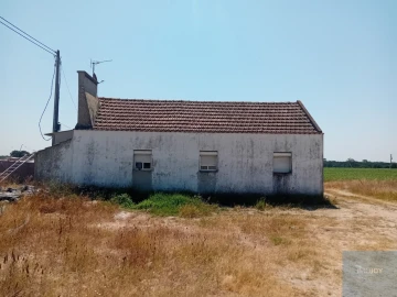 Terreno para Venda em Pegões
