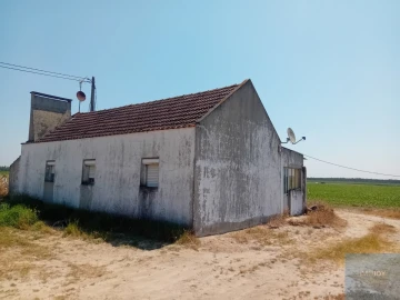 Terreno para Venda em Pegões