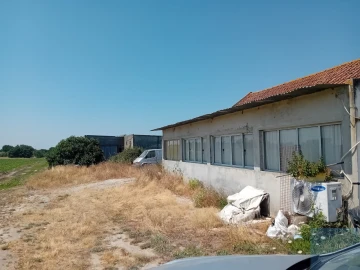 Terreno para Venda em Pegões