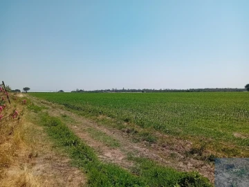 Terreno para Venda em Pegões