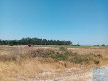 Terreno para Venda em Pegões