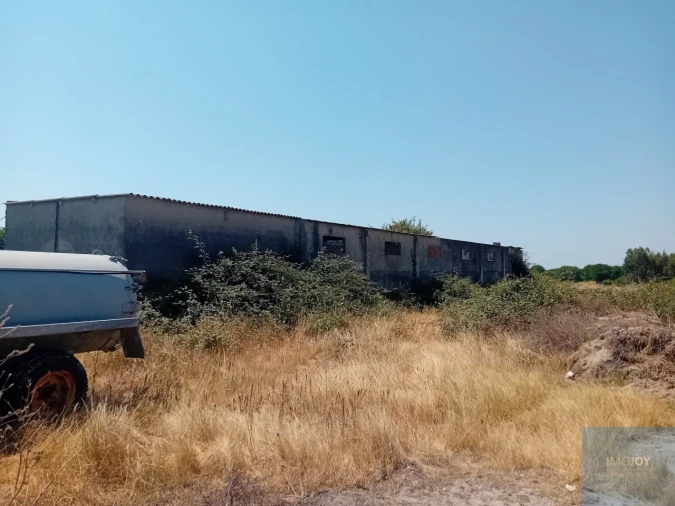 Terreno para Venda em Pegões Foto 5