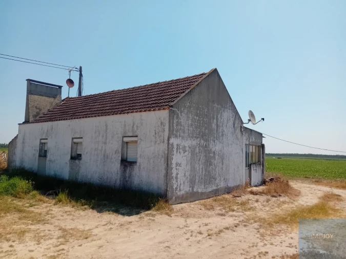 Terreno para Venda em Pegões Foto 3